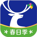 每日红包